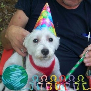 Meet your Posher, Debbie fulmer